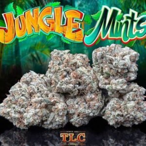 Buy Jungle Mints Online-jungleboysoc.org